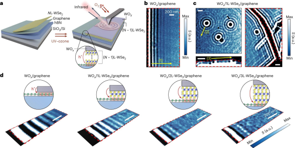 산화막 형성을 통해 도핑된 그래핀에 표면 플라즈몬 폴라리톤을 관찰한 결과