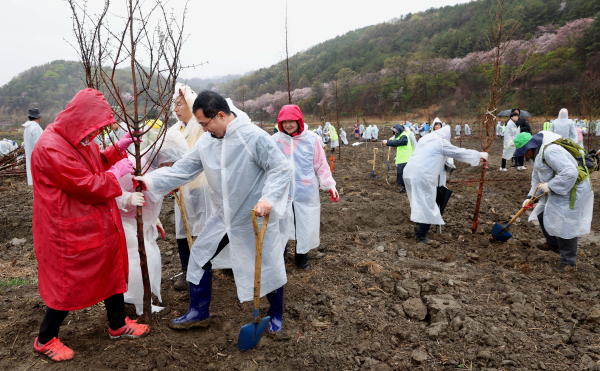 식목일 맞이 메타세쿼이아 1,100주 나무 심기 행사 개최 모습