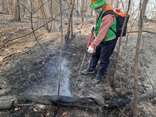 청양군 지역자율방재단, 홍성 대형산불 진화 봉사 모습