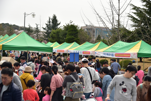 지난 벼룩시장 모습