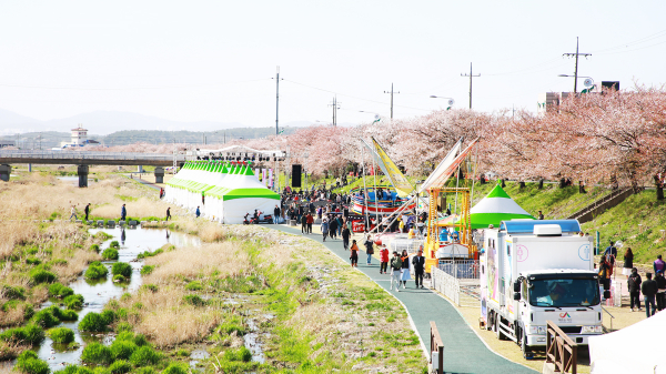 지난 8일부터 9일까지 해미천 일원에서 열린 제4회 해미 벚꽃축제 모습