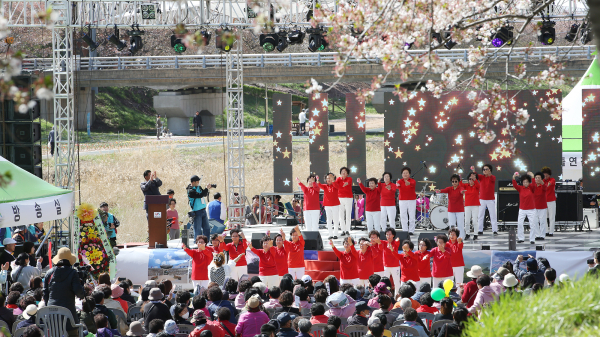 지난 8일부터 9일까지 해미천 일원에서 열린 제4회 해미 벚꽃축제 모습