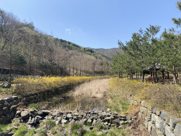 무궁화수목원 입구