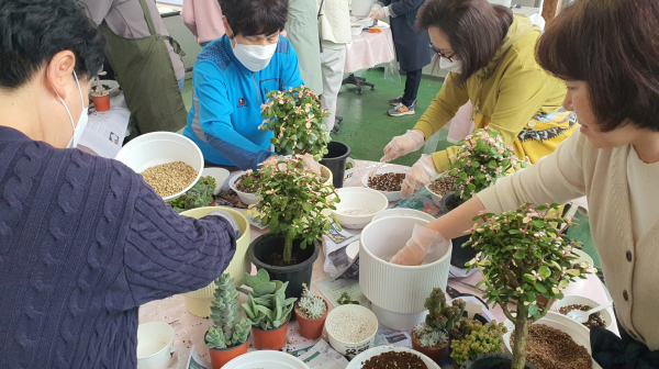 생활원예 교육 (반려식물)