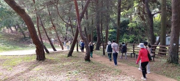 서천군 보건소 산림치유 프로그램 걷기 명상