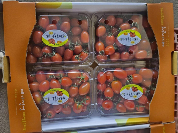 예가정성 방울토마토