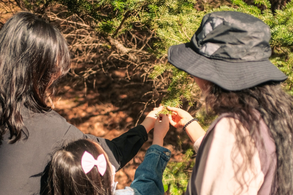 지난 20일 경북 영주시 국립산림치유원 마실치유숲길에서 나눔의 숲 캠프에 참가한 가족들이 산림치유지도사와 숲길 체험을 하고 있다.