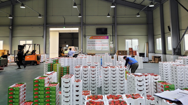 충서원예농협에서 농업인들이 농산물을 하차하는 모습