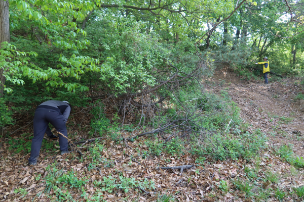 서산시와 충청남도역사문화연구원이 부석사의 역사성을 확보하기 위해 조사를 하고 있다
