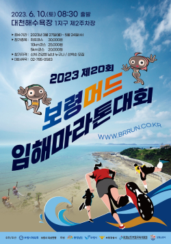 제20회 보령머드임해마라톤대회 포스터