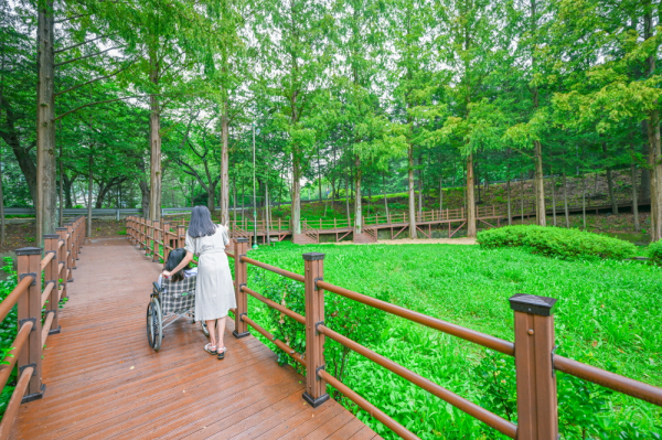 일반 국민이 한국산림복지진흥원 복권기금 녹색자금사업으로 조성된 무장애나눔길을 걸으며, 숲 속 산책을 즐기고 있는 모습.