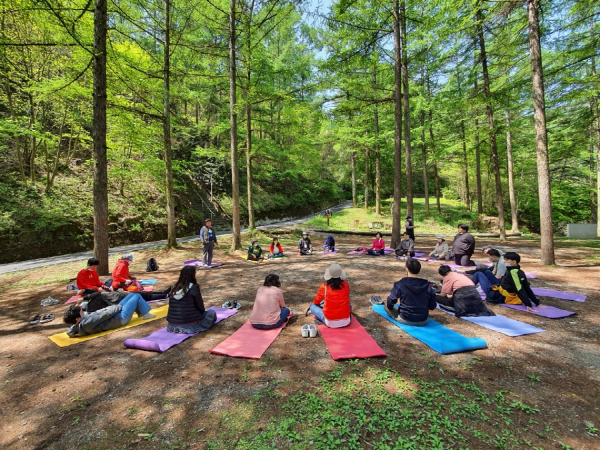 한국산림복지진흥원 복권기금 녹색자금사업(숲체험·교육 지원사업)에 참여한 취약계층 대상자들이 숲체험 활동을 하고 있다.
