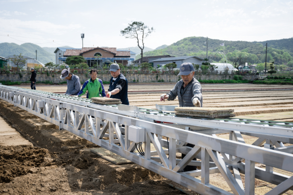 벼 육묘 상자 자동이송장치 첫 시연 모습