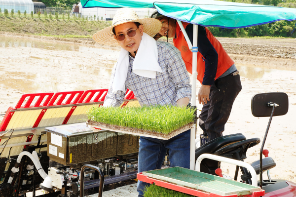 11일 이완섭 서산시장이 음암면 탑곡리 김기병 씨 농가에서 모내기 시연하는 장면