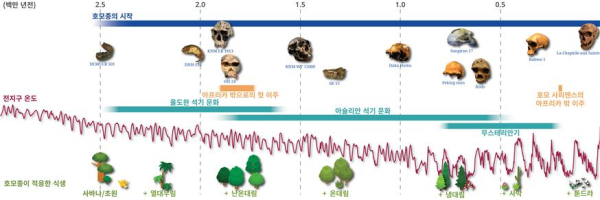 호모종 진화와 식생