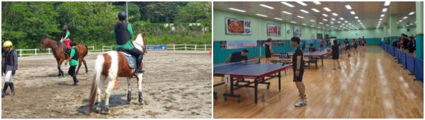 제25회 서산시장기 생활체육대회 승마경기, 탁구경기 모습