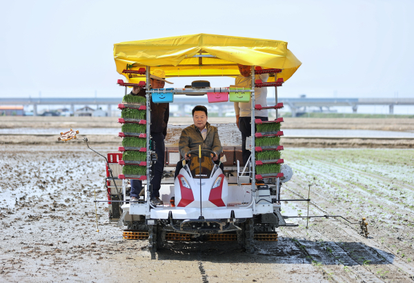 오성환 당진시장 모내기 시연 모습