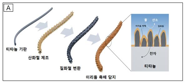 전극 제조 공정 모식도