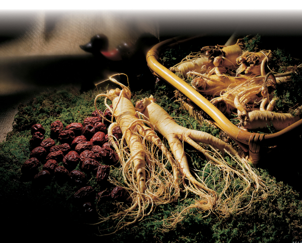 한국산 홍삼 홍보 이미지