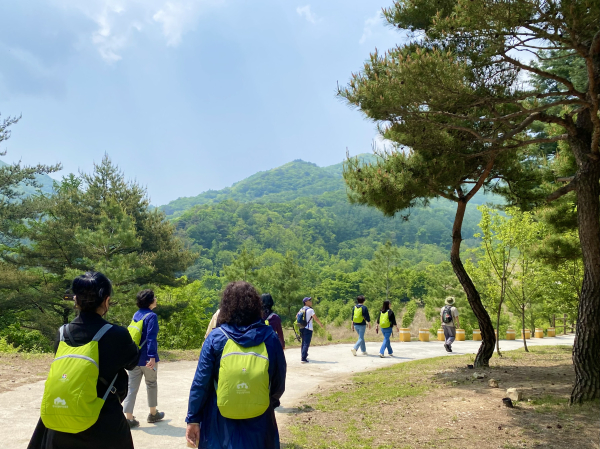 지난 18일, 경북 영주시 봉현면 국립산림치유원 솔향기숲길에서「숲으로 가는 기차여행」참가자들이 프로그램에 참여하고 있다.
