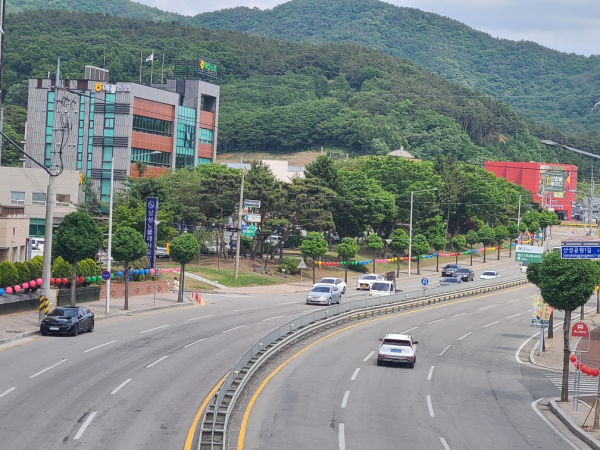 토피어리 가지치기 가로수