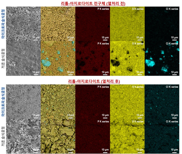 마이크로파 습식공정의 효과