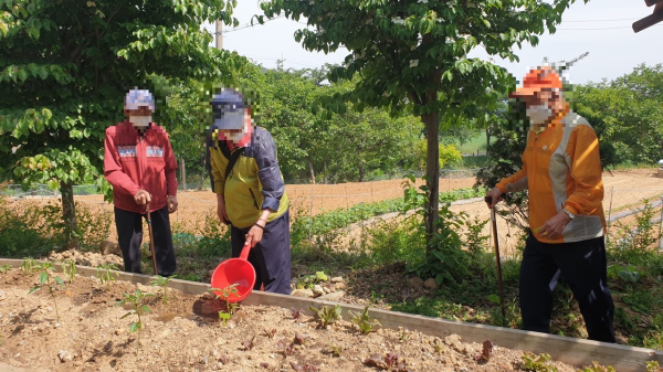 홍성군 치매안심센터, 자원 연계 치유프로그램