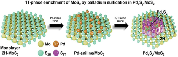 팔라듐 금속 삽입을 통한 단일 원자층 이황화몰리브덴의 구조적 변환 도식도
