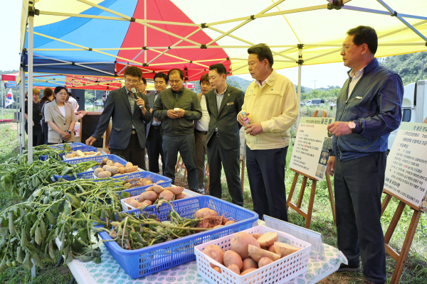 친환경감자 시범사업 평가회 진행 모습