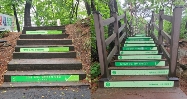 성주산 왕자봉 등산로 ‘건강 계단’