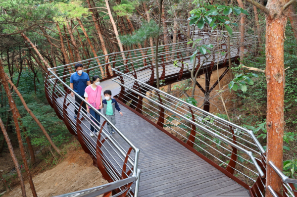 백화산 트리워크 모습