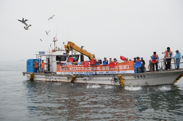 서산시 대산읍 삼길포 해안에 우럭∙광어 치어 11만마리와 바지락 종패 방류행사 모습