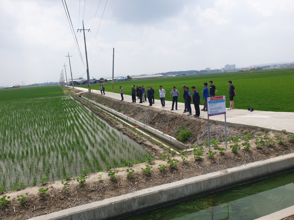 당진시 벼 직파재배 시범사업 현장평가