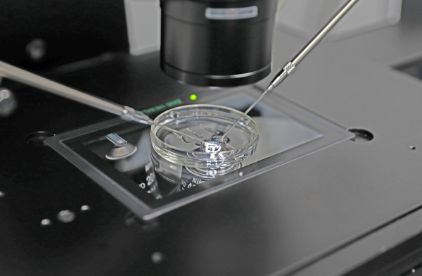 난임클리닉 자료 사진