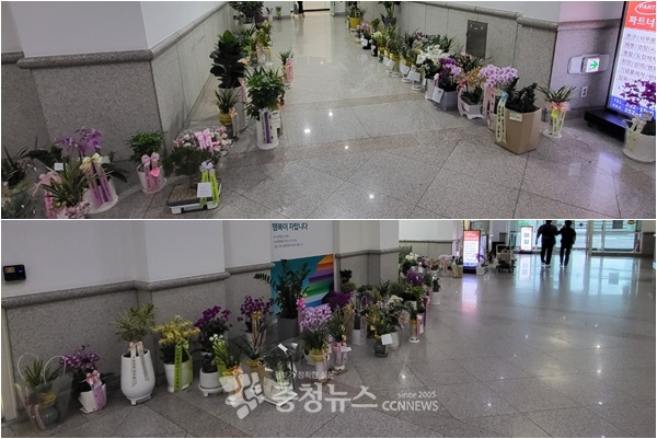 대전시청 1층 남문 복도에 승진 축하 화분이 주인을 기다리고 있다.