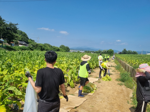 지난 5일부터 6일까지 동신대학교 학생들과 농촌봉사활동을 진행하였다.
