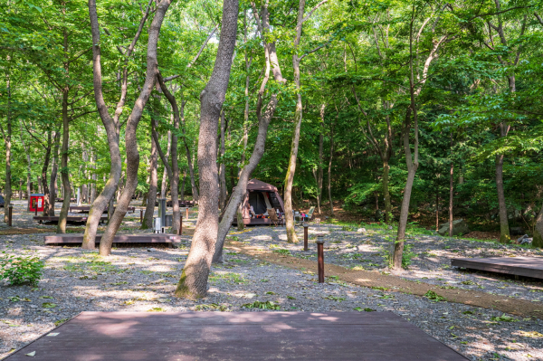 성주산자연휴양림 사진