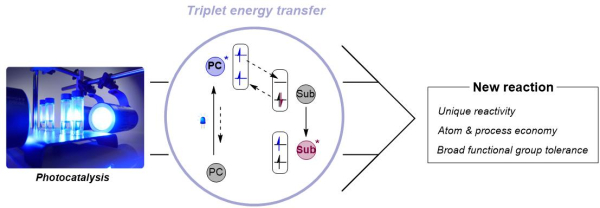 삼중항 에너지 전달 메커니즘
