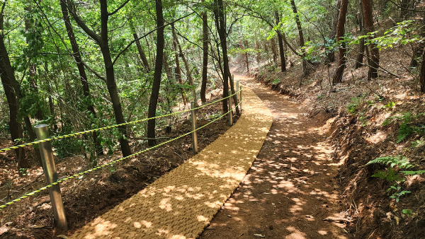 2023년 희망마을 선행사업이 완료된 모습(대로2리)