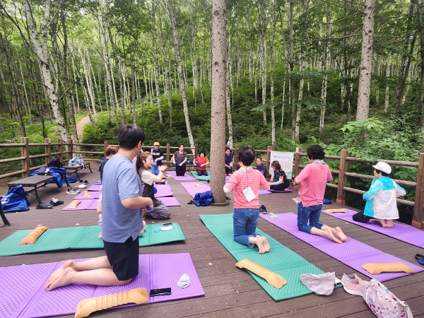 김천치유의숲·한국타이어, 화재 극복 주민 대상 산림치유프로그램 (자작나무숲 소도구테라피)