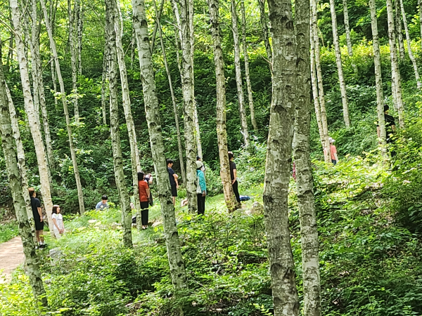 김천치유의숲·한국타이어, 화재 극복 주민 대상 산림치유프로그램 (자작나무숲 명상 )