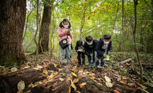 당진 삼선산수목원 생태탐험 프로그램