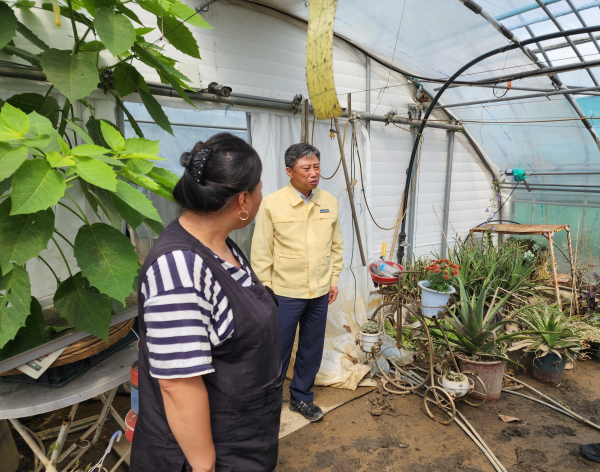 대전농협 정낙선 총괄본부장, 17일 집중 호우로 피해를 입은    관내 농가를 찾아 피해 상황 점검 모습