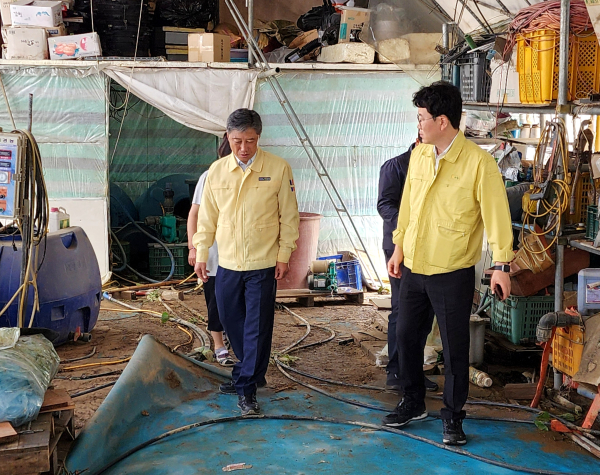 17일, 집중 호우로 피해를 입은 관내 농가를 찾아 피해 상황을 점검하고 있는 정낙선 본부장