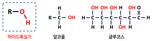 하이드록실기와 그것을 포함하는 분자 구조