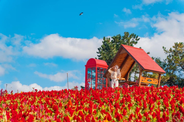 ‘2022 섬살이’ 참여자(이예나씨)-신안 병풍도