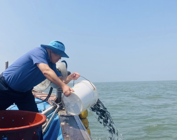 당진시 수산종자 방류 사업실시