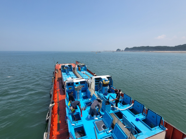 당진시 수산종자 방류 사업실시