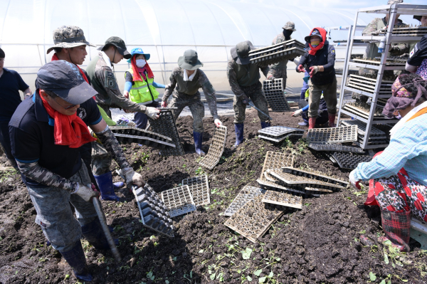 육묘장 수해복구에 동참한 자원봉사자들