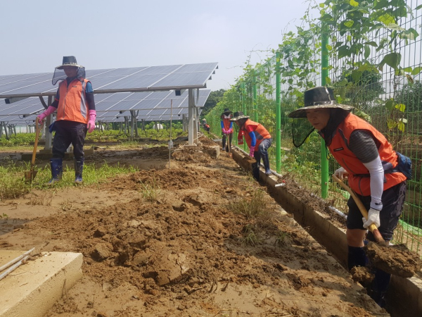 한국타이어 임직원들이 청주지역 수해복구활동에 구슬땀을 흘리고 있다.